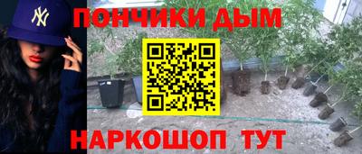метамфетамин Камышлов