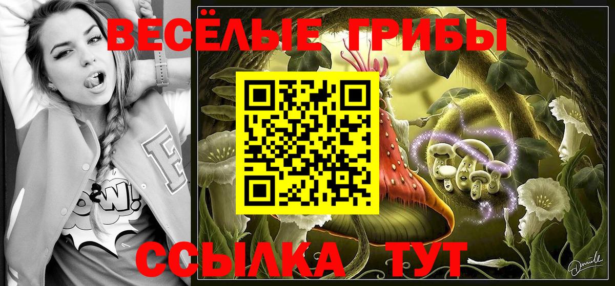 Псилоцибиновые грибы прущие грибы Кувандык