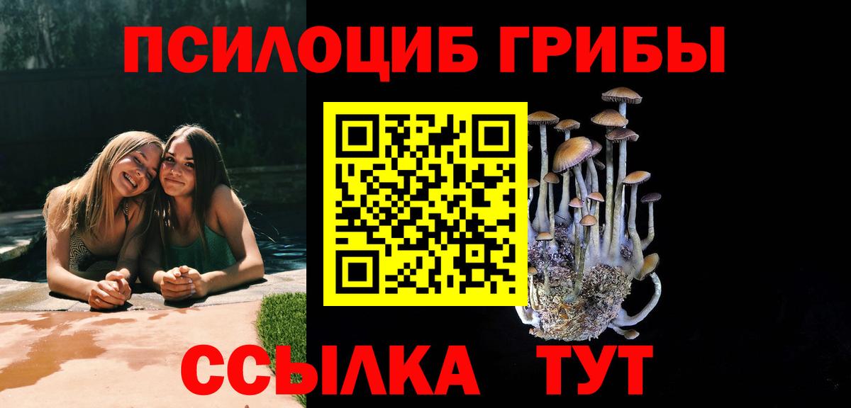 Псилоцибиновые грибы Magic Shrooms  Вход с VPN  Кувандык 